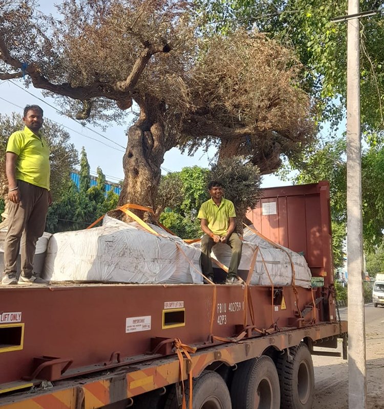 Plant cargo vehicle coordination